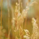 Lowest Price MDF at   Dayton, Ohio  , wa 081319823277 CV DWI JAYA STEEL- INDONESIA